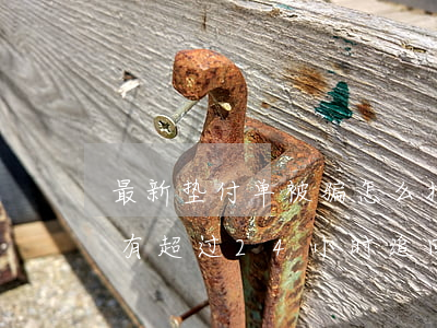 最新垫付单被骗怎么报警(垫付单被骗了还没有超过24小时追回本金)