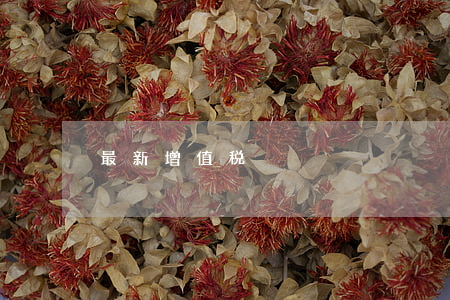 最新增值税