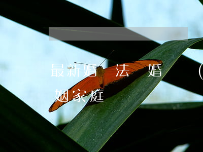 最新婚煙法離婚財產(chǎn)(民法典婚姻家庭)