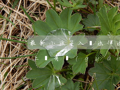 最新小孩子入戶法律法規(guī)(孩子上戶有關(guān)規(guī)定)