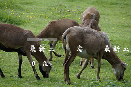 最新工傷鑒定標準(最新工傷鑒定標準2020九級)