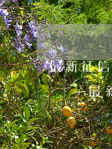 最新征信報(bào)告前年逾期記錄怎么辦-最新征信報(bào)告前年逾期記錄怎么辦理