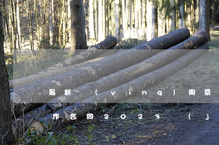 最新應(yīng)用系統(tǒng)制作合同2023簡(jiǎn)易格式模板下載