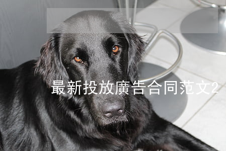 最新投放廣告合同范文2023