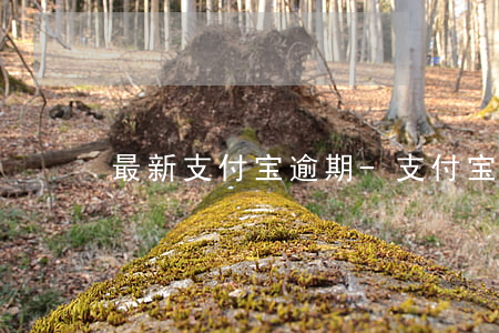 最新支付宝逾期-支付宝逾期支付不了