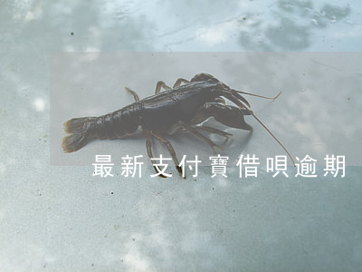 最新支付寶借唄逾期