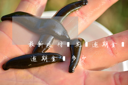 最新支付寶花唄逾期金額-最新支付寶花唄逾期金額多少