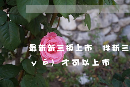最新新三板上市條件(新三板上的什么企業(yè)才可以上市)
