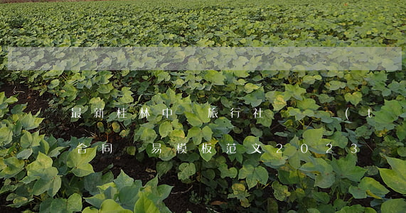 最新桂林中國旅行社組團統(tǒng)一合同簡易模板范文2023