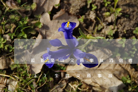 最新樂山交通事故消息(昨天下午樂山發(fā)生的交通事故)