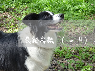 最新欠款無(wú)力償還定義