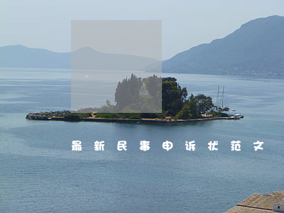 最新民事申诉状范文