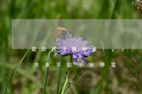 最新民法典物業(yè)可以停水嗎(民法典房東不能停水停電)