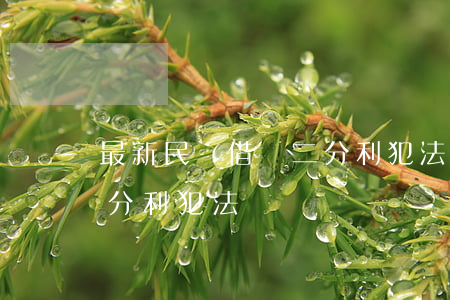 最新民間借錢二分利犯法嗎(最新民間借錢二分利犯法嗎)