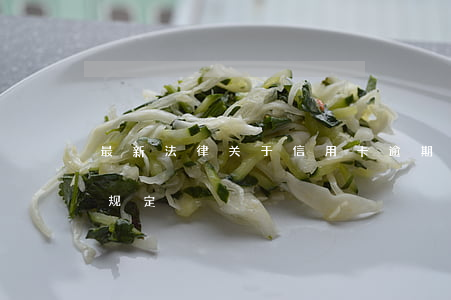 最新法律关于信用卡逾期(关于信用卡逾期新规定)