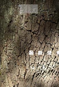 最新法律對(duì)政審(政審最新規(guī)定)