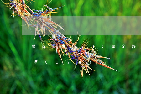 最新法醫(yī)鑒定輕傷標(biāo)準(zhǔn)