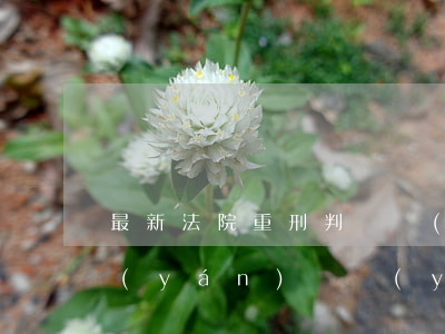 最新！法院重刑判決醫(yī)鬧，國家正在嚴(yán)懲醫(yī)鬧八大罪！