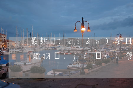 最新現(xiàn)金貸網(wǎng)貸逾期監(jiān)管(嚴(yán)查網(wǎng)貸最新新聞)