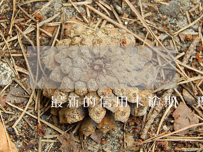 最新的信用卡逾期處理