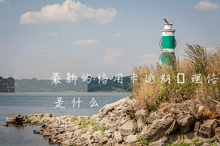 最新的信用卡逾期處理（信用卡逾期還款大忌是什么）