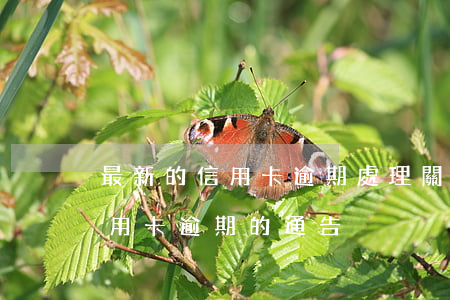最新的信用卡逾期處理（關(guān)于信用卡逾期的通告）