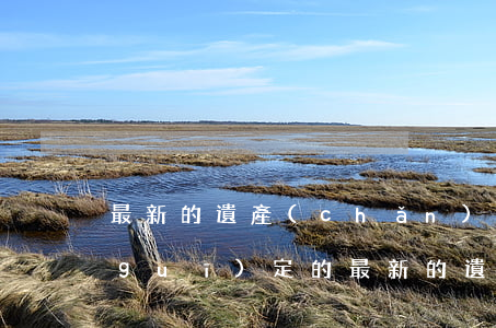 最新的遺產(chǎn)繼承法是怎么規(guī)定的(最新的遺產(chǎn)繼承法是怎么規(guī)定的)