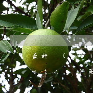 最新規(guī)定司機(jī)創(chuàng)死人罰多少錢(qián)