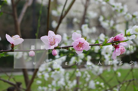 最新規(guī)定司機(jī)創(chuàng)死人罰多少錢(最新規(guī)定司機(jī)創(chuàng)死人罰多少錢)