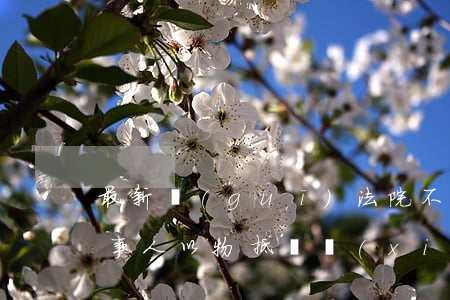 最新規(guī)：法院不得依據(jù)當事人以物抵債協(xié)議，出具以物抵債的裁定?。ǜ剑盒乱?guī)全文）