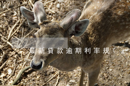 最新貸款逾期利率規(guī)定