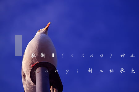 最新農(nóng)村土地承包法(最新農(nóng)村土地承包法100問(wèn))