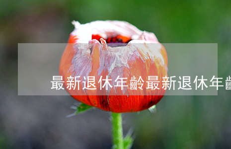 最新退休年齡(最新退休年齡對照表)