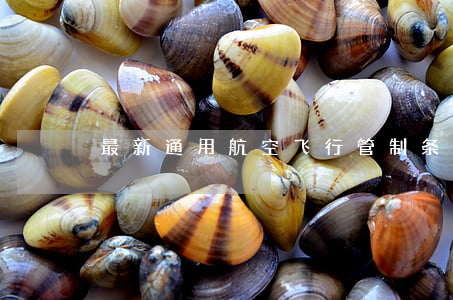 最新通用航空飞行管制条例修订全文