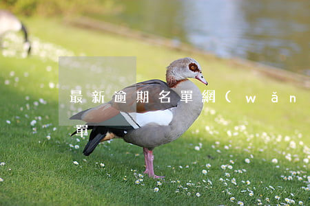 最新逾期名單(網(wǎng)貸逾期公布名單)