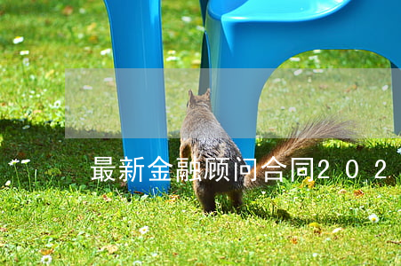 最新金融顾问合同2023简易模板范文