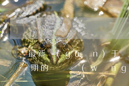 最新關(guān)于網(wǎng)貸逾期的視頻(網(wǎng)貸逾期違法嗎)