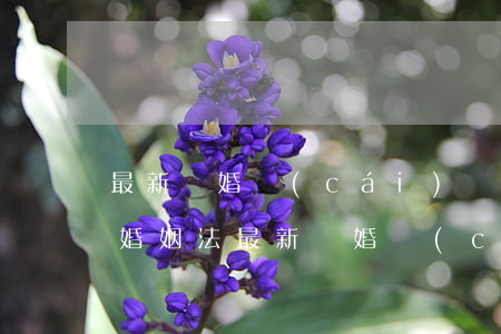 最新離婚財(cái)產(chǎn)分割婚姻法(最新離婚財(cái)產(chǎn)分割婚姻法5點(diǎn))