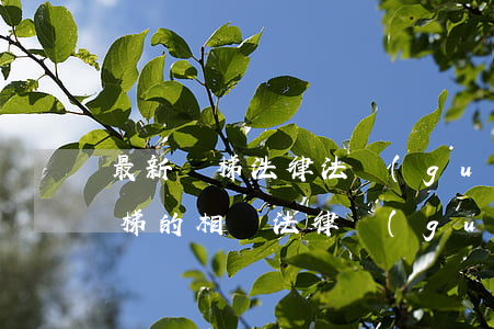 最新電梯法律法規(guī)2018(電梯的相關法律規(guī)定有哪些)