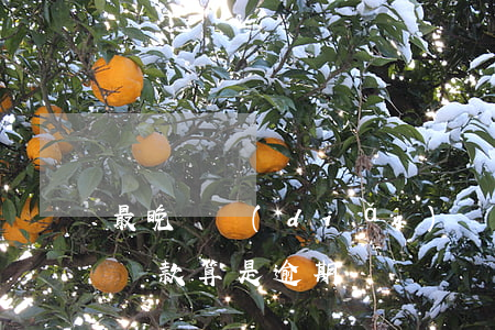 最晚幾點(diǎn)還款不算逾期(幾天不還款算是逾期)