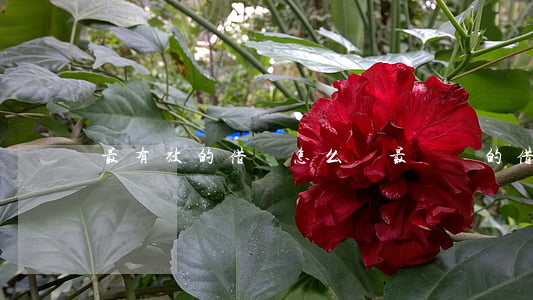 最有效的借條怎么寫(最簡單的借條怎么寫)