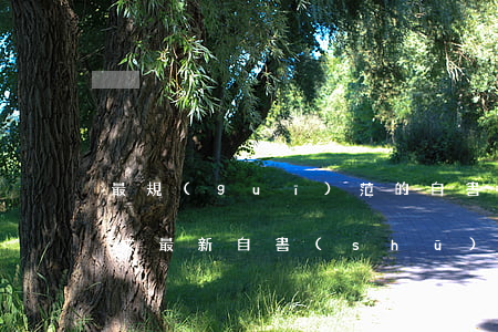 最規(guī)范的自書(shū)遺囑范文(最新自書(shū)遺囑范文)