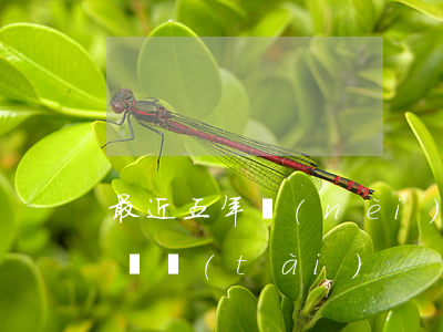 最近五年內(nèi)有10個月處于逾期狀態(tài)