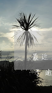 最近五年內(nèi)有1個(gè)月處于逾期狀態(tài)