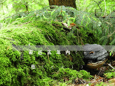 最近五年內(nèi)有一個月處于逾期狀態(tài)