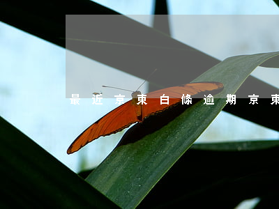 最近京東白條逾期(京東白條逾期了)