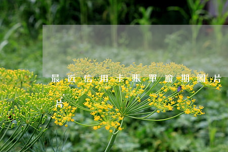 最近信用卡賬單逾期圖片(信用卡欠款賬單圖片)