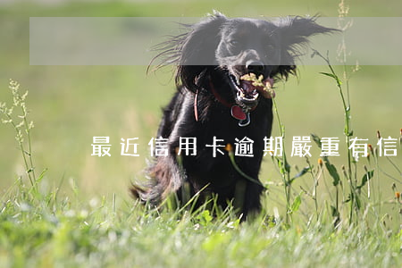 最近信用卡逾期嚴重(有信用卡逾期)