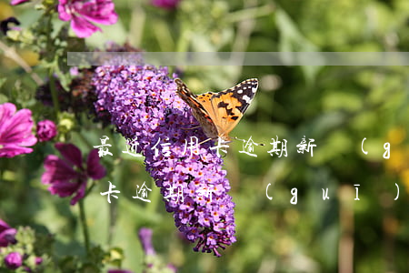 最近信用卡逾期新規(guī)定 最近信用卡逾期新規(guī)定是哪一年