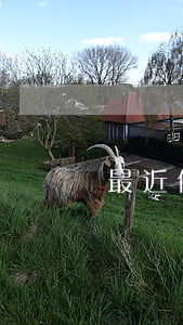 最近信用卡逾期比例-各銀行信用卡逾期率